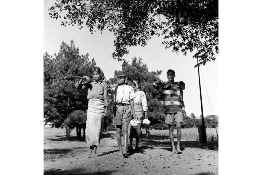 Circa 1957: Children on their way to the sugarcane fields with their tools and lunch bowls.(© BAHA from the book The Indian in Drum magazine in the 1950s (2008) by Riason Naidoo) 