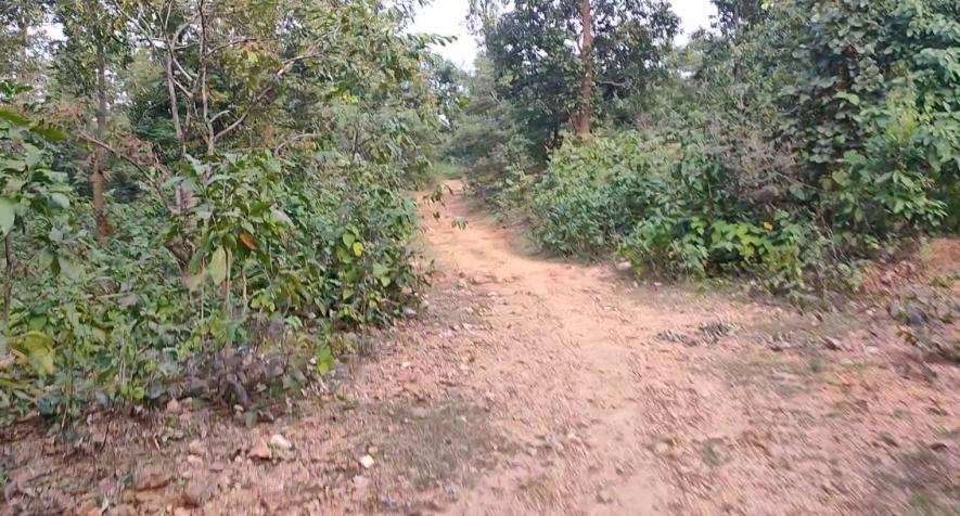 The unmetalled road used by the villagers.