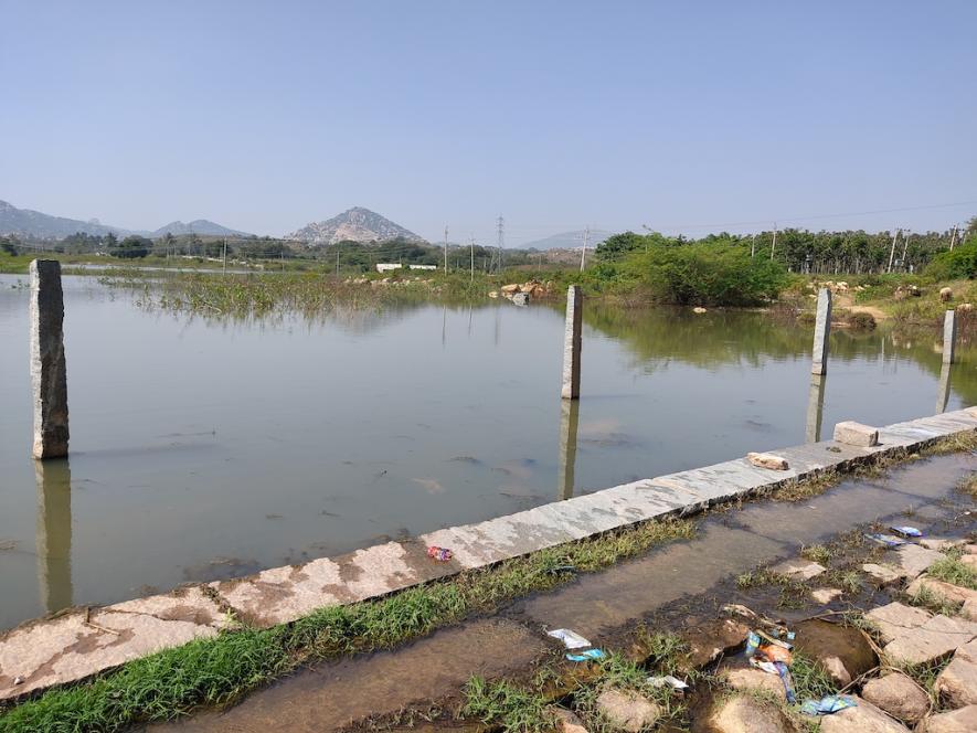 Waterlogged agricultural land / Chikkaballapur