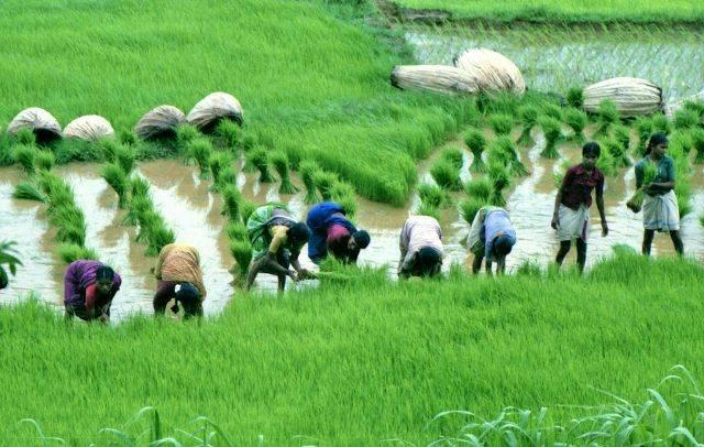 Maha: Battle Between Two Departments Deprive 8 Lakh Farmers of PM Kisan Scheme 