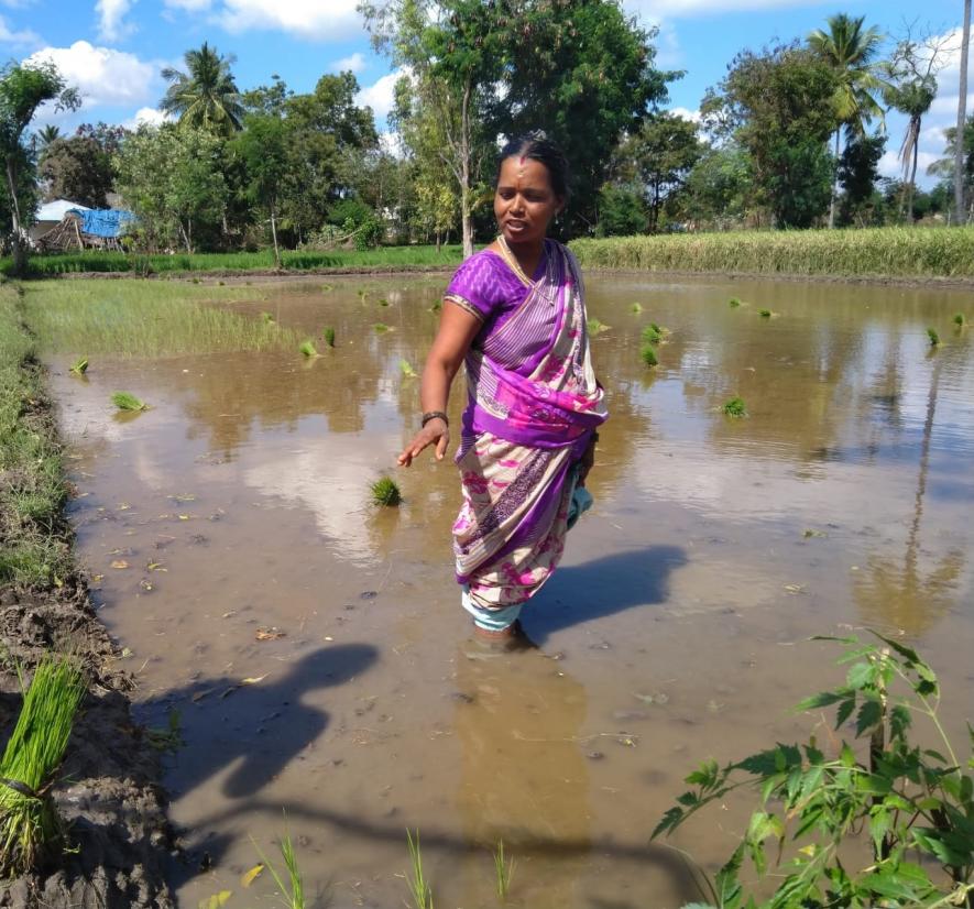 soil health card scheme 2