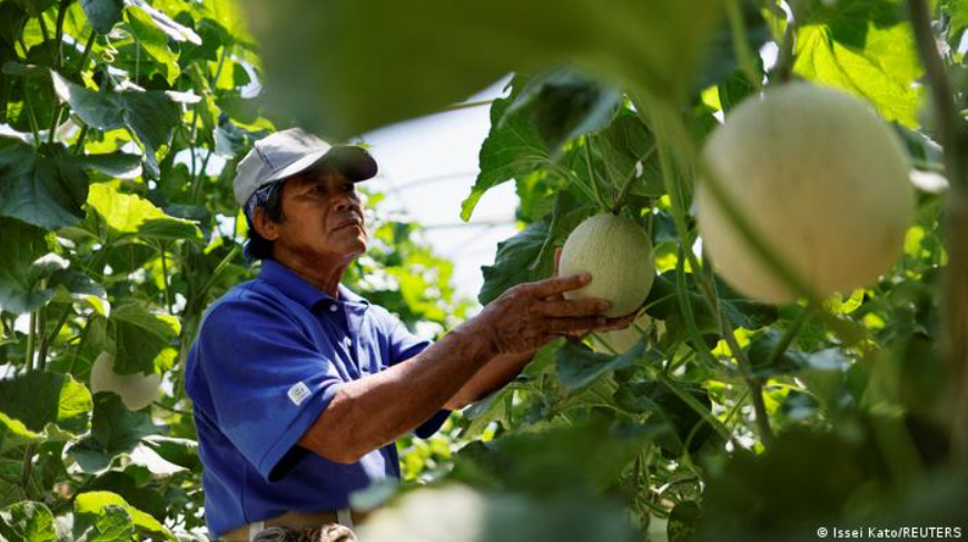 OKINAWANS