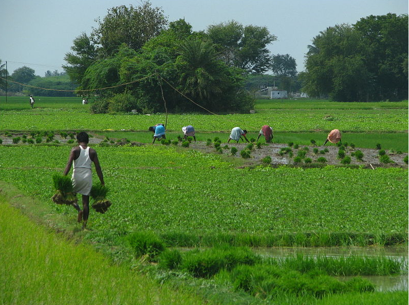 Punjab Excluded From Central Committee on Agriculture, More Representation for Pro-BJP Farmer Leaders Than SKM