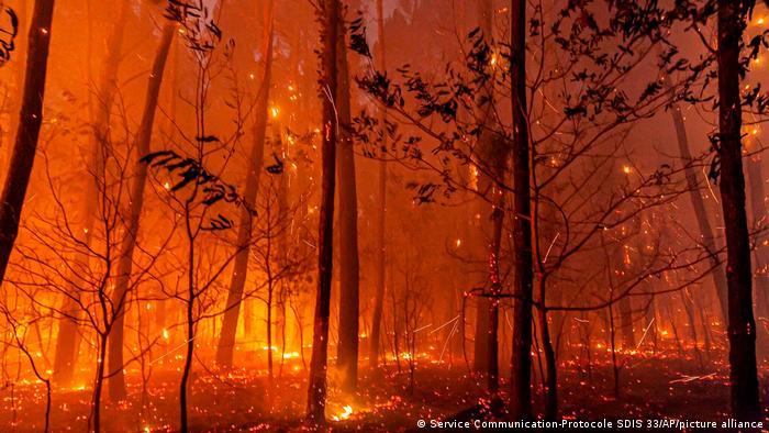 Tinder-dry pine forests have been burning for a week in the coastal region south of Bordeaux