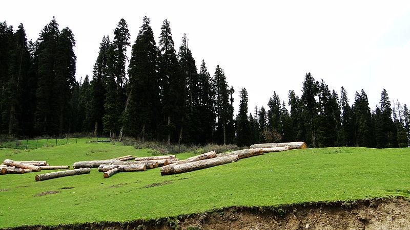 Doodhpathri. Nature, scenery in the Himalayas, southwest Jammu and Kashmir