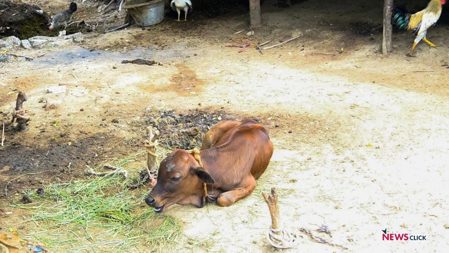 People would lose out on grazing land.