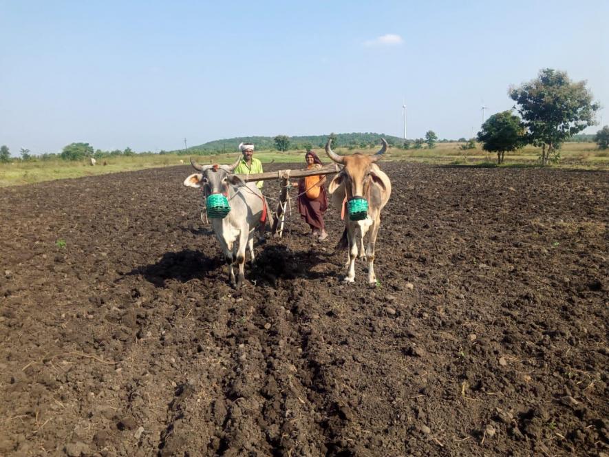 A farmer and his wife till their land in Shukrawasa village, Dewas district, Madhya Pradesh.