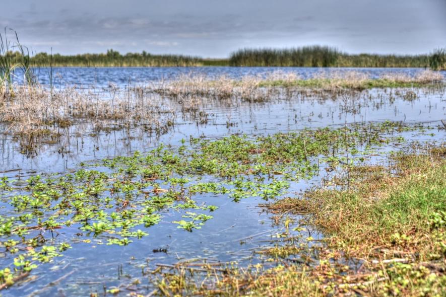 Indo-Gangetic Plain is Drying Despite Rise in Water Flow in the Streams, Says WMO