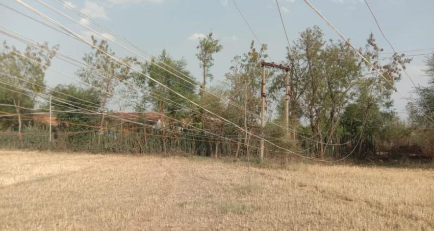 Temporary wooden poles carrying low-lying electrical cables installed inside the fields in Mathani Khera (Photo - Pooja Yadav, 101Reporters