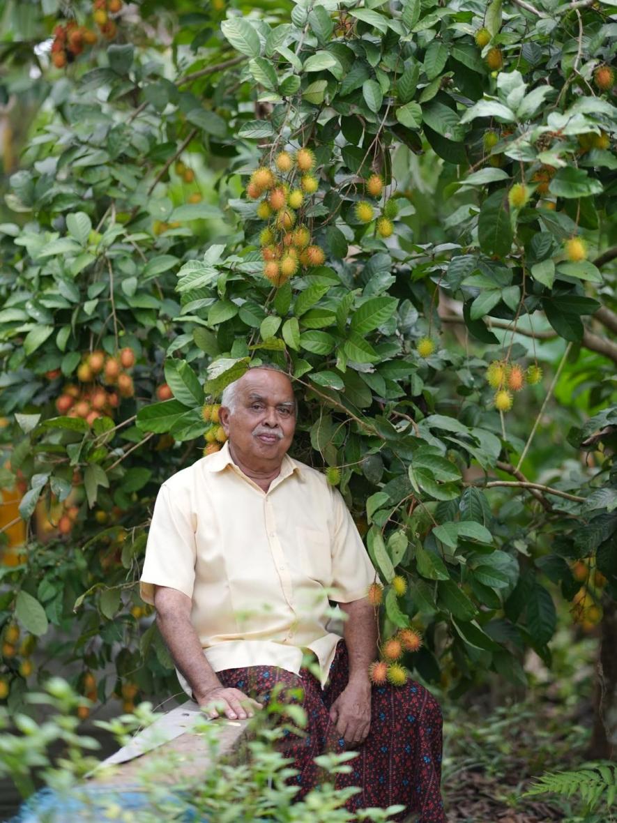 Joy Joseph with his rambutan trees in full bloom (Photo - Lakshmi Unnithan, 101Reporters)