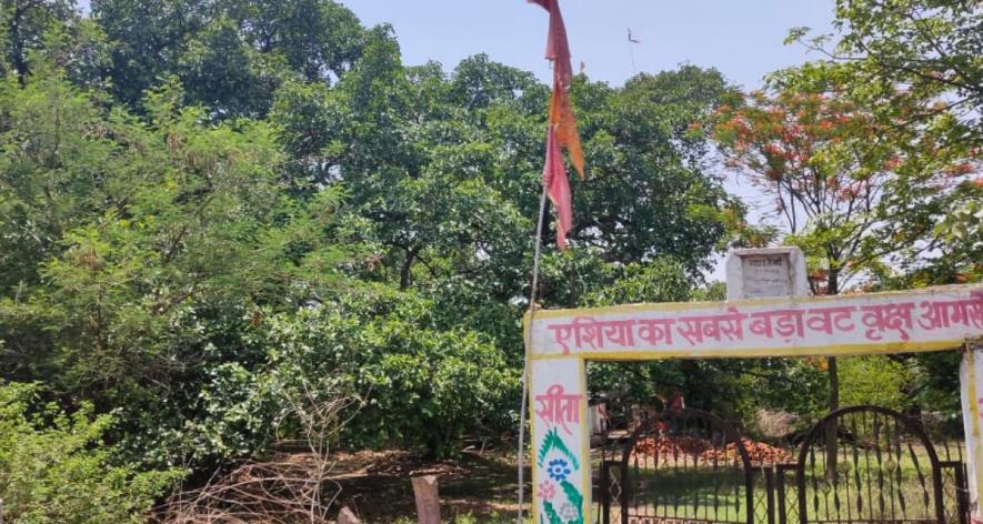 Entrance to a park in Madhya Pradesh housing one of the largest Banyan trees in Asia (Photo - Pooja Yadav, 101Reporters).