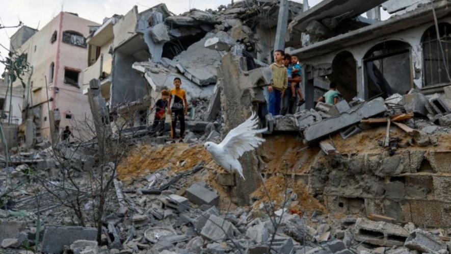 Palestinian children and a rare white dove with an uncertain future amidst the ruins of Gaza City following horrific Israeli air strikes. 