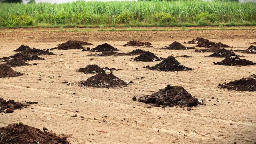 A farmland near Samaypur dairy owned by Archana Tomer with dried bio-fertiliser, a byproduct of biogas (Photo - Sonali Singh, 101Reporters)