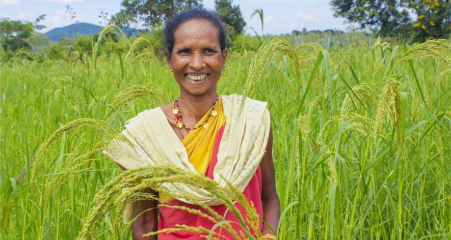 A tribal woman standing on her farm where she has grown little millet in Kundra block under Koraput district in Odisha (Photo - Abhijit Mohanty, 101Reporters).