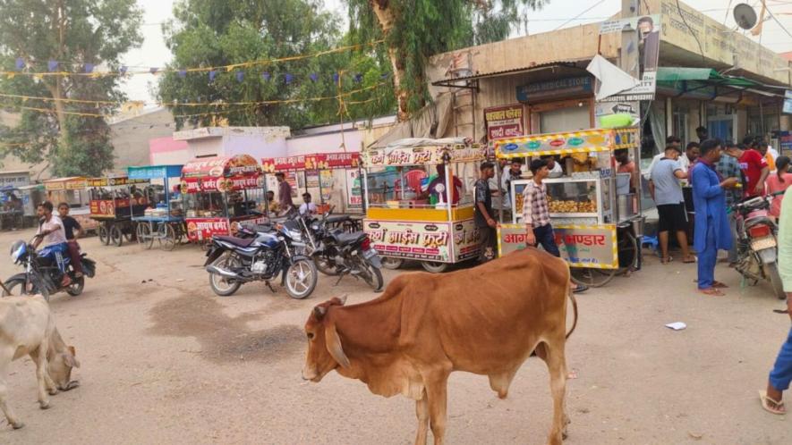 Food stalls in Dabli Rathan (Photo - Amarpal Singh Verma, 101Reporters)