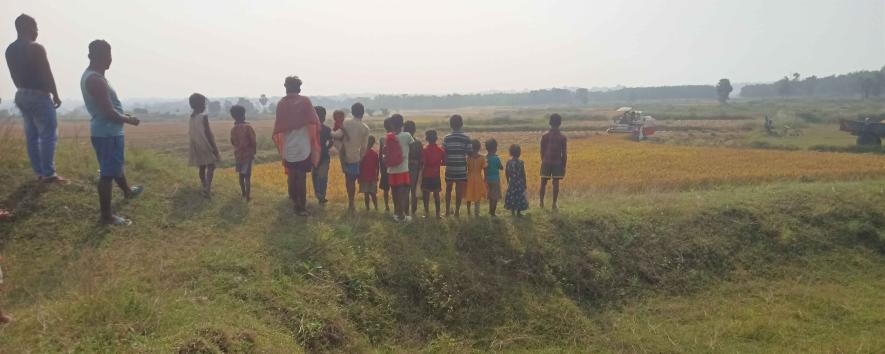 No paddy harvesting work for Shabartota people, as machines are being used for harvesting.