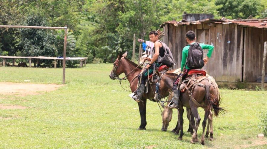 Young peasants on horseback in Catatumbo. Photo: CISCA