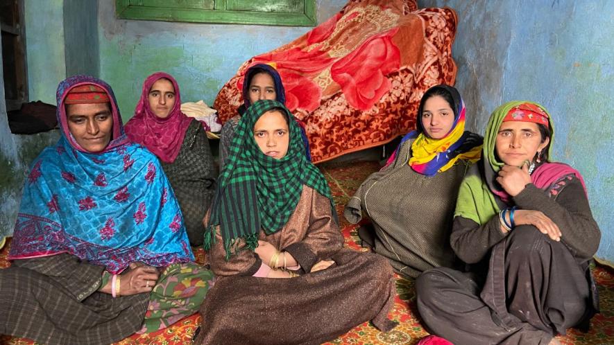 Kashmir: For Tribal Women, Winter is All About ‘Wood, Water, Worries’