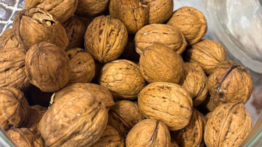 A jar filled with Californian walnuts at Faisal Mir's Ganie Dryfruits in Delhi (Photo - Mohammad Aatif Ammad Kanth, 101Reporters).