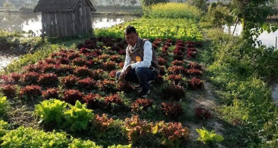 majuli