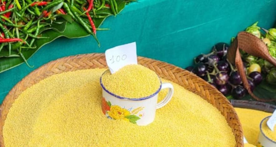 Millets being sold during the Millet Festival at Kezoma village (Photo - Ketholeno Neihu, 101Reporters).