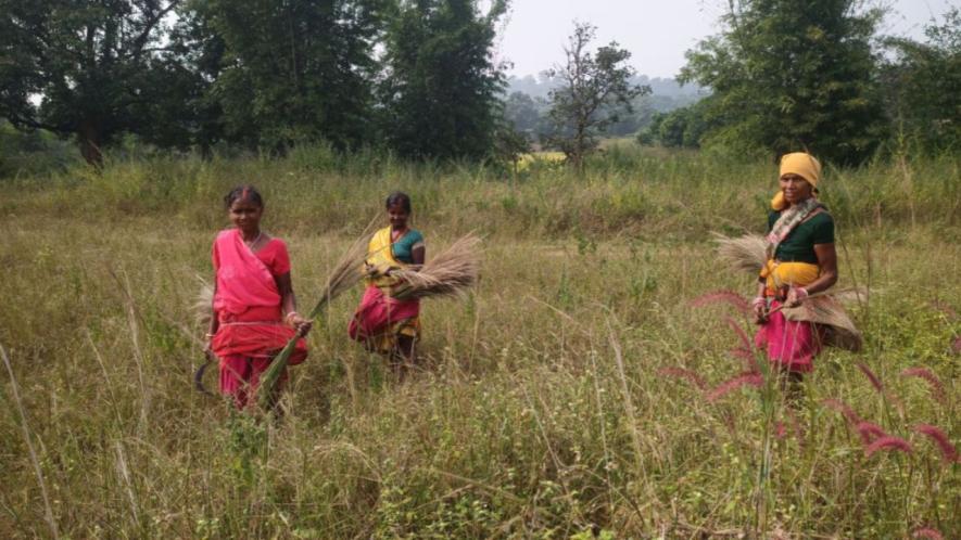 Women returning from the forest with cut broom grass (Photo - Vishal Ranjan Sahu, 101Reporters)