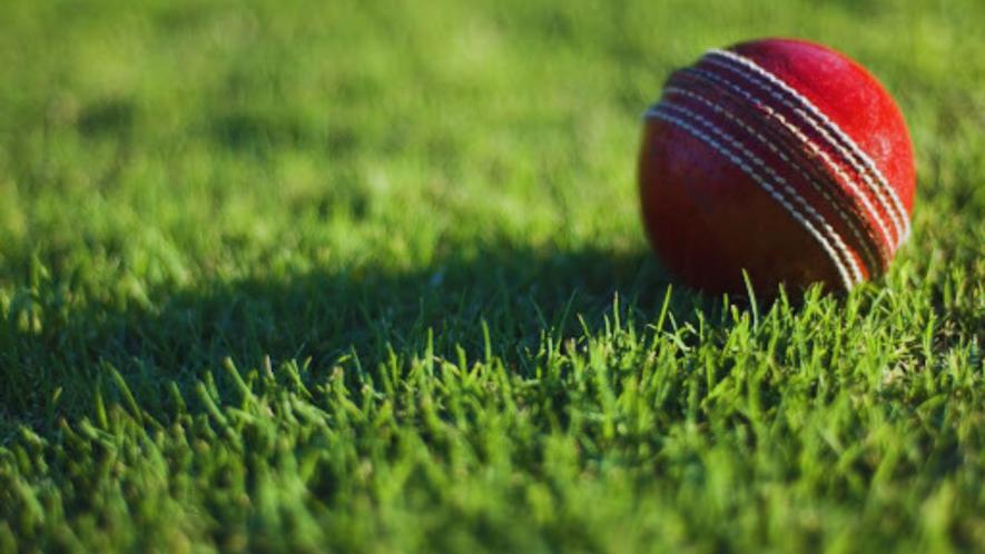 cricket