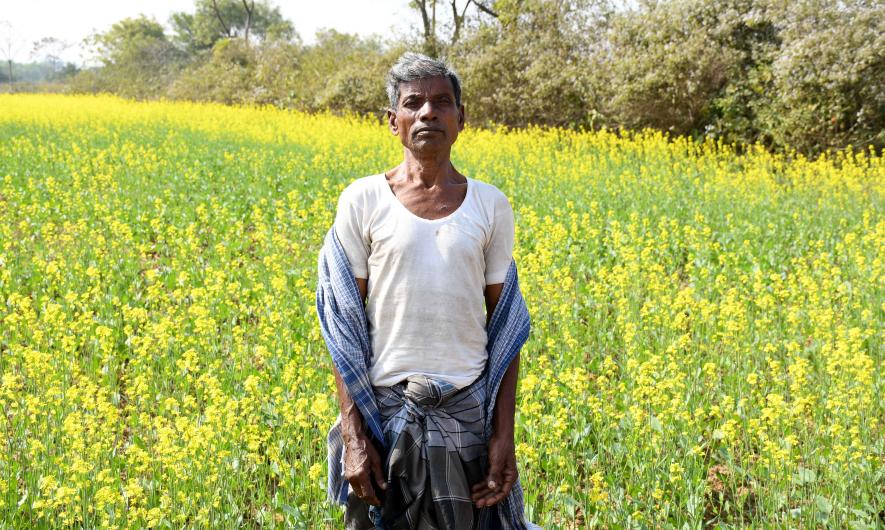 Susanta Bauri’s mustard field.