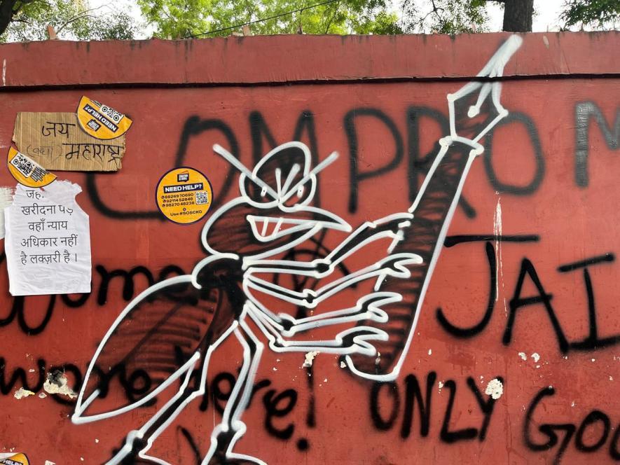 cjp