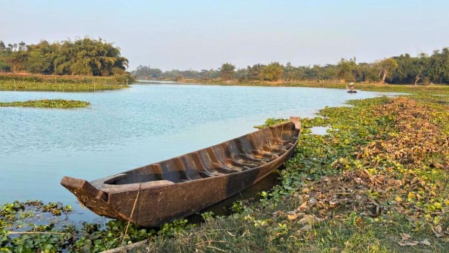 A wooden boat moored on the drying banks of the river among vegetation (Photo - Madhurima Pattanayak, 101Reporters)