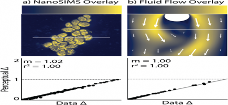 Imaging Yeast_0.png