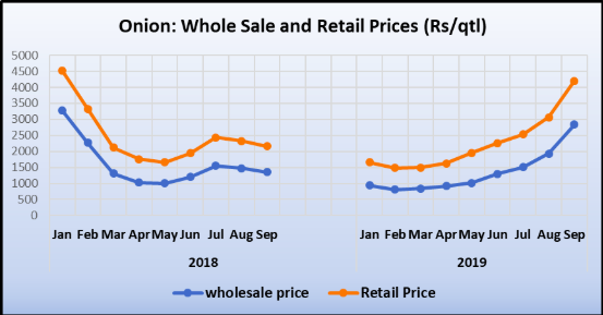 Onion%20WholeSale.png