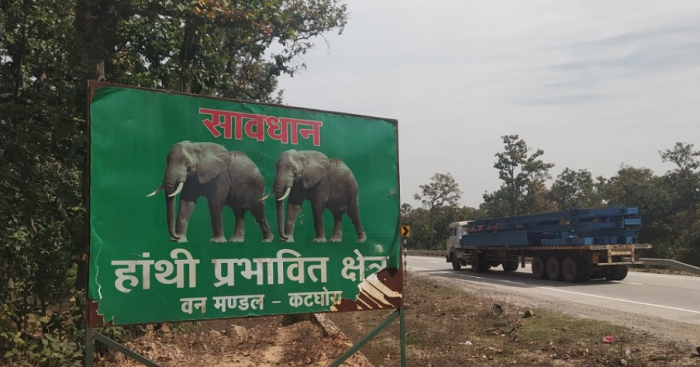 abir dasgupta elephant adani