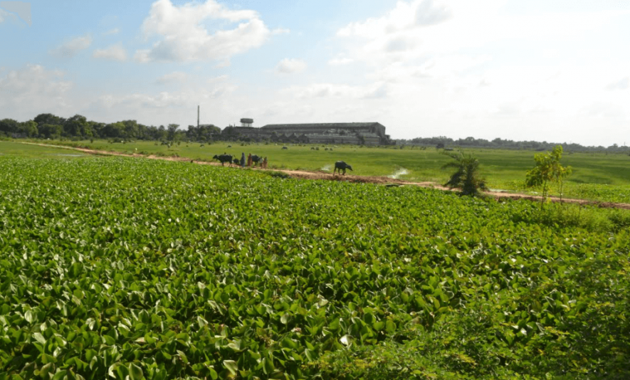  Darbhangaâs Ashok Paper Mill